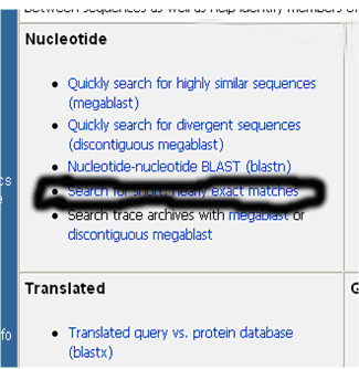一步步教你利用Blast分析驗證引物序列