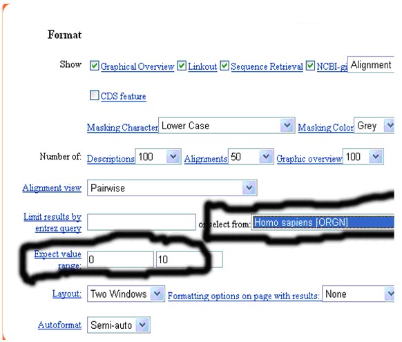 一步步教你利用Blast分析驗證引物序列